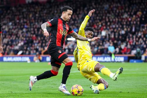 Ultimate Guide to Bet Nigeria Success